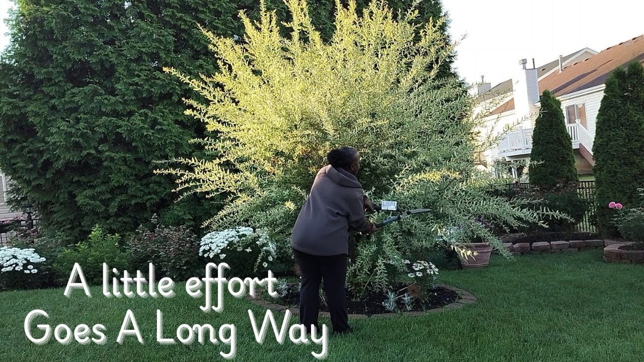 After the Storm 🌿Garden Clean Up🌿