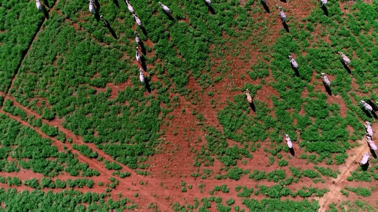 Quantum Grid Technologies   Revolutionizing Aerospace and AI in Africa