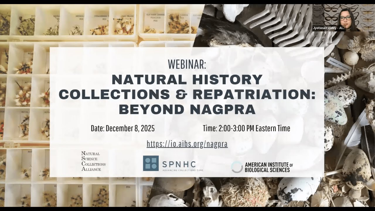 Natural History Collections and Repatriation: Beyond NAGPRA