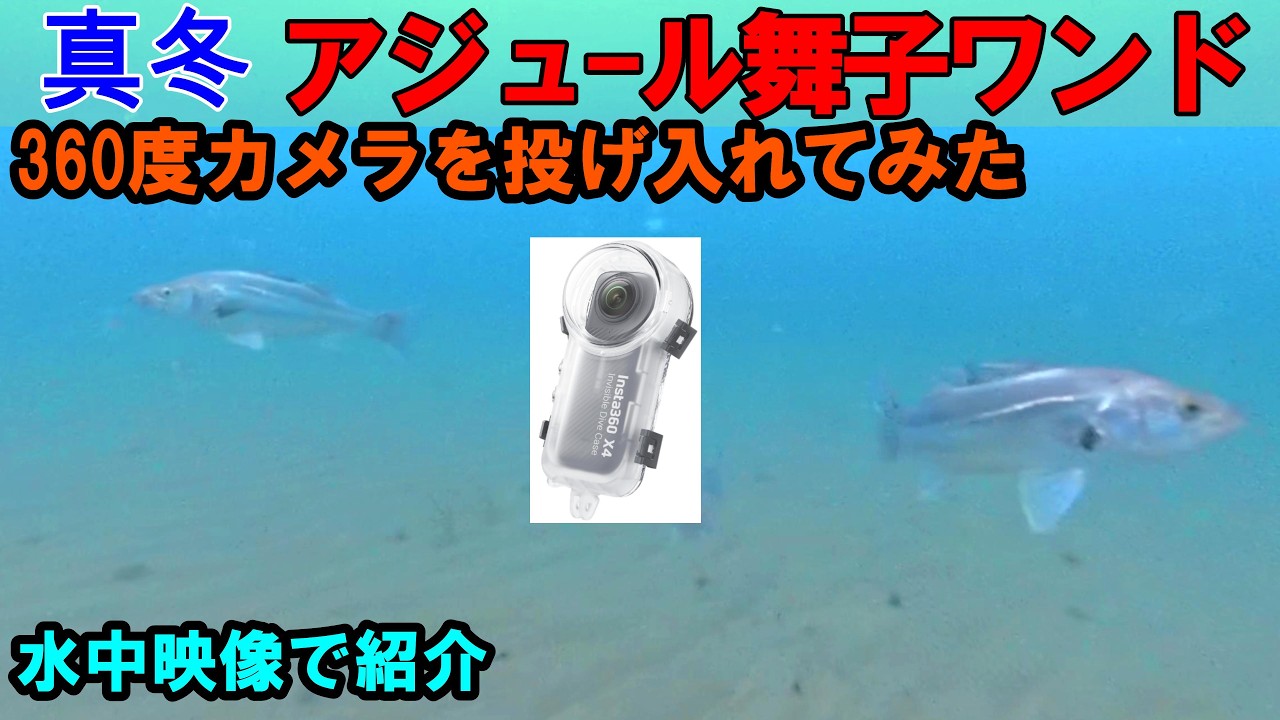 【釣り場解説】真冬のアジュール舞子ワンド。最新360度カメラで捉えた水中のリアル。