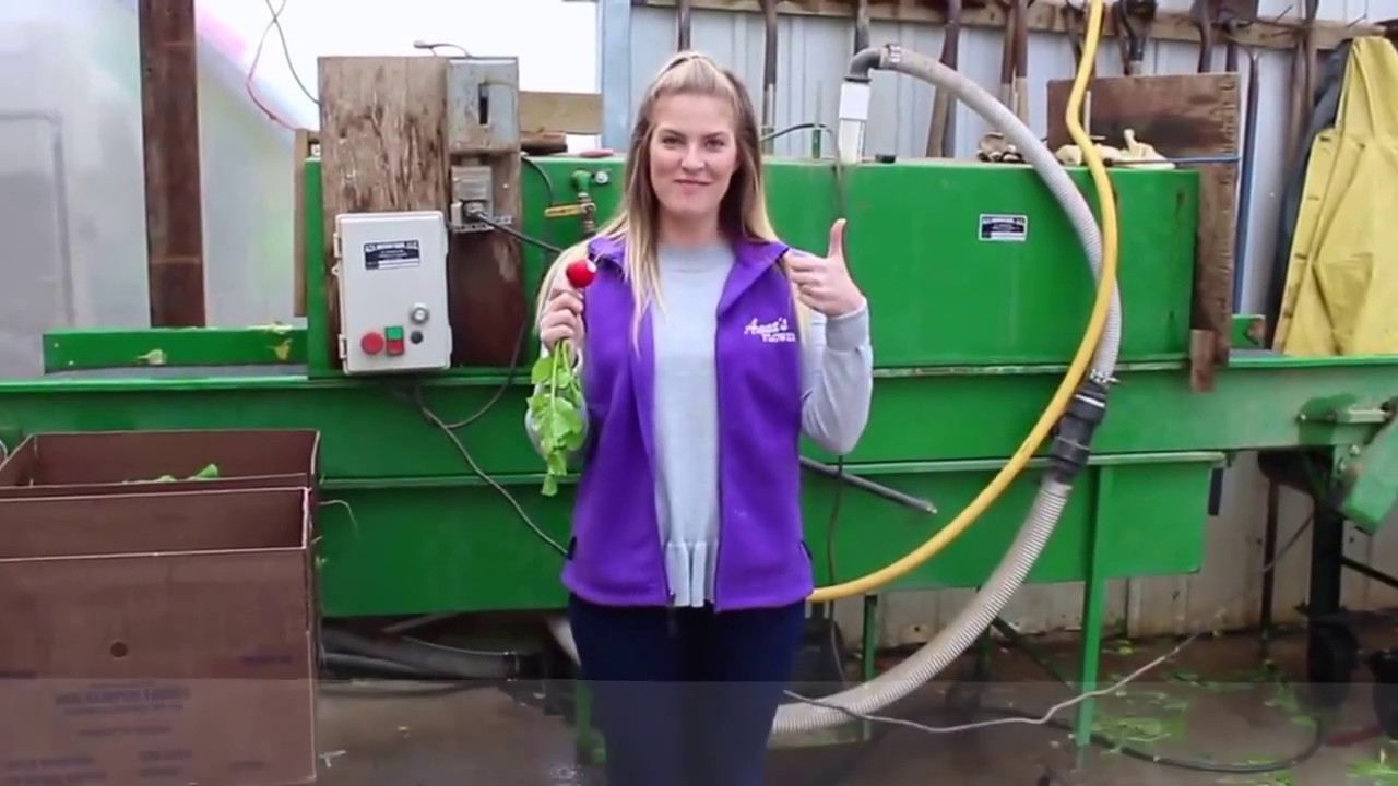 What's Growing On? - At Van Kempen Farms