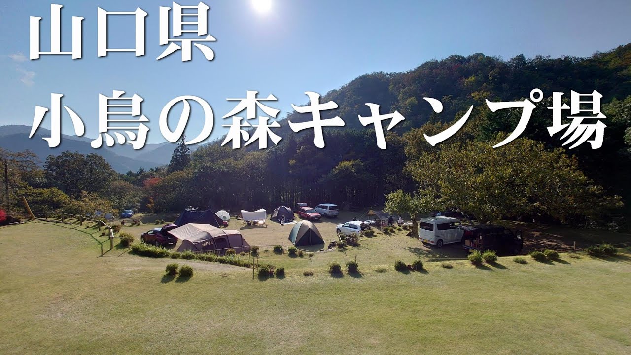 山口県　25年かけて管理人さん一人で作り上げた小鳥の森キャンプ場へ行ってみた