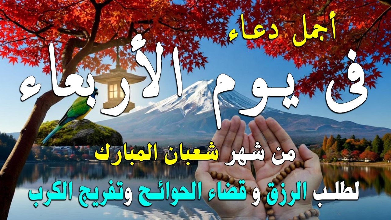 دعاء فى يوم الأثنين المستجاب دعاء في يوم 28 من شهر شعبان للرزق والشفاء العاجل وقضاء الحوائج 🤲(4k)