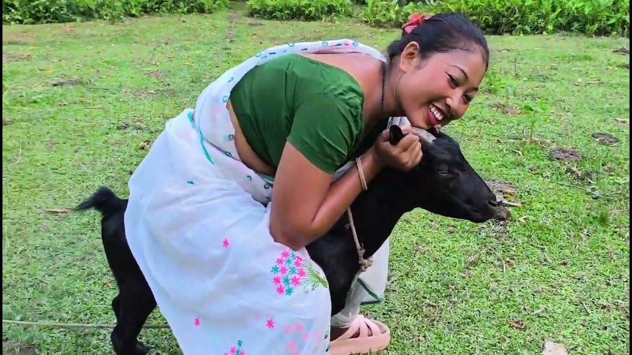 You won't believe How this goat sits! |sitting goat| goat riding girl 😃