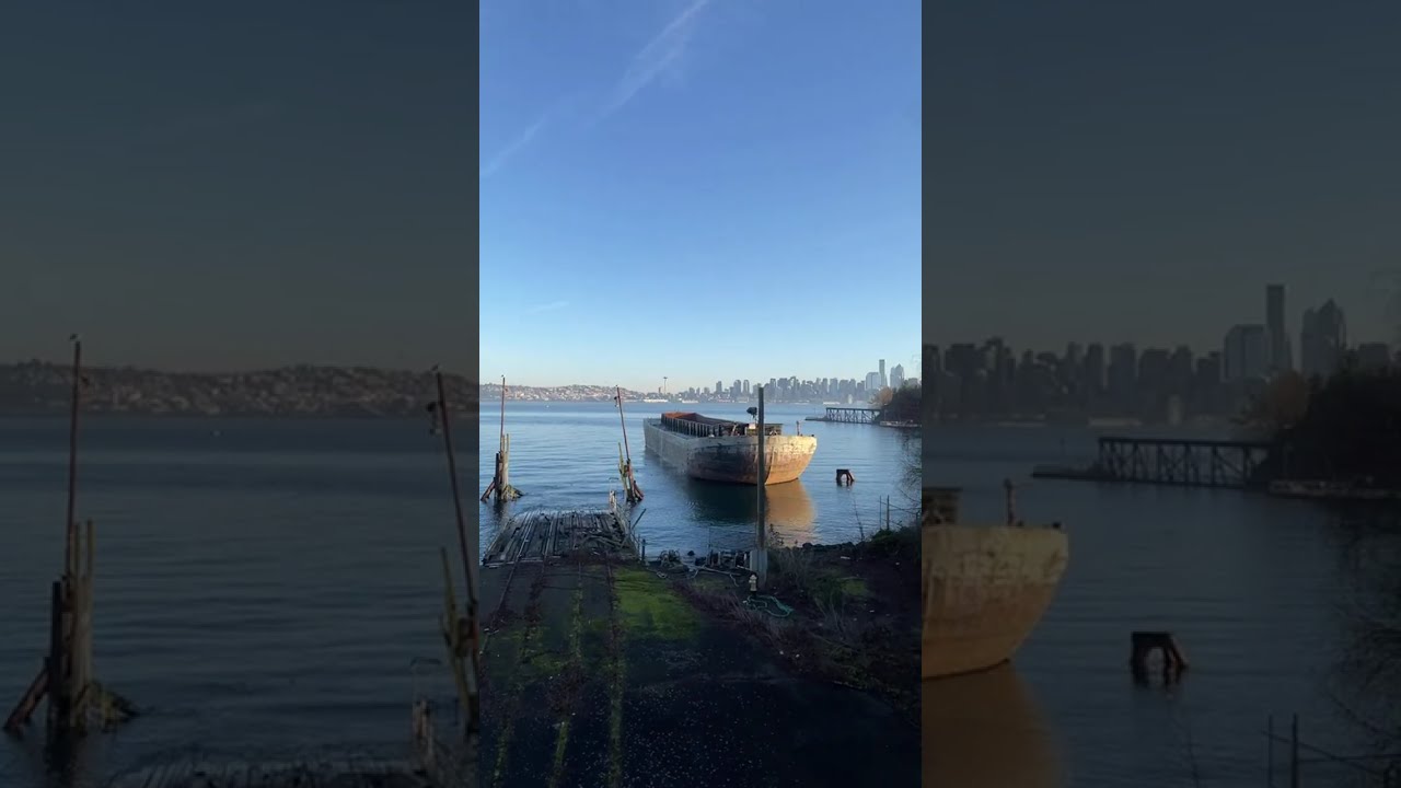 Walk Around Elliot Bay in West Seattle Washington PNW Nature Video