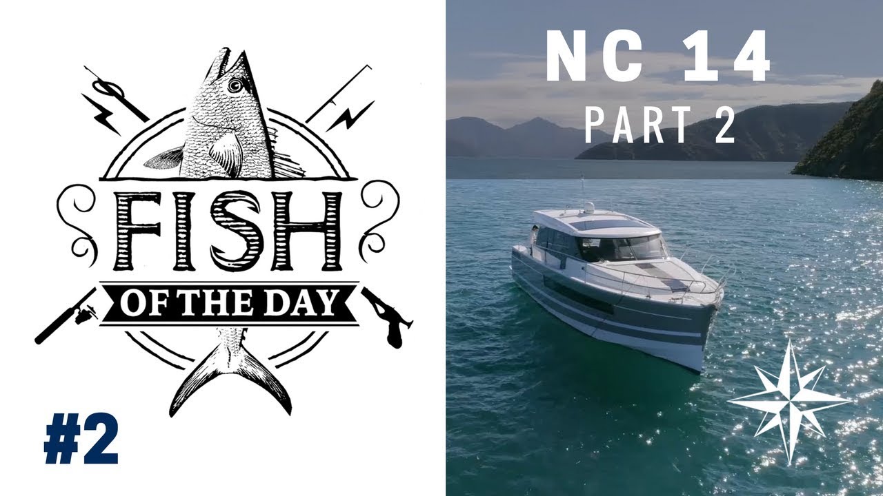 FISH OF THE DAY #explorewithjeanneau Episode#2 - NC 14 (part.2)