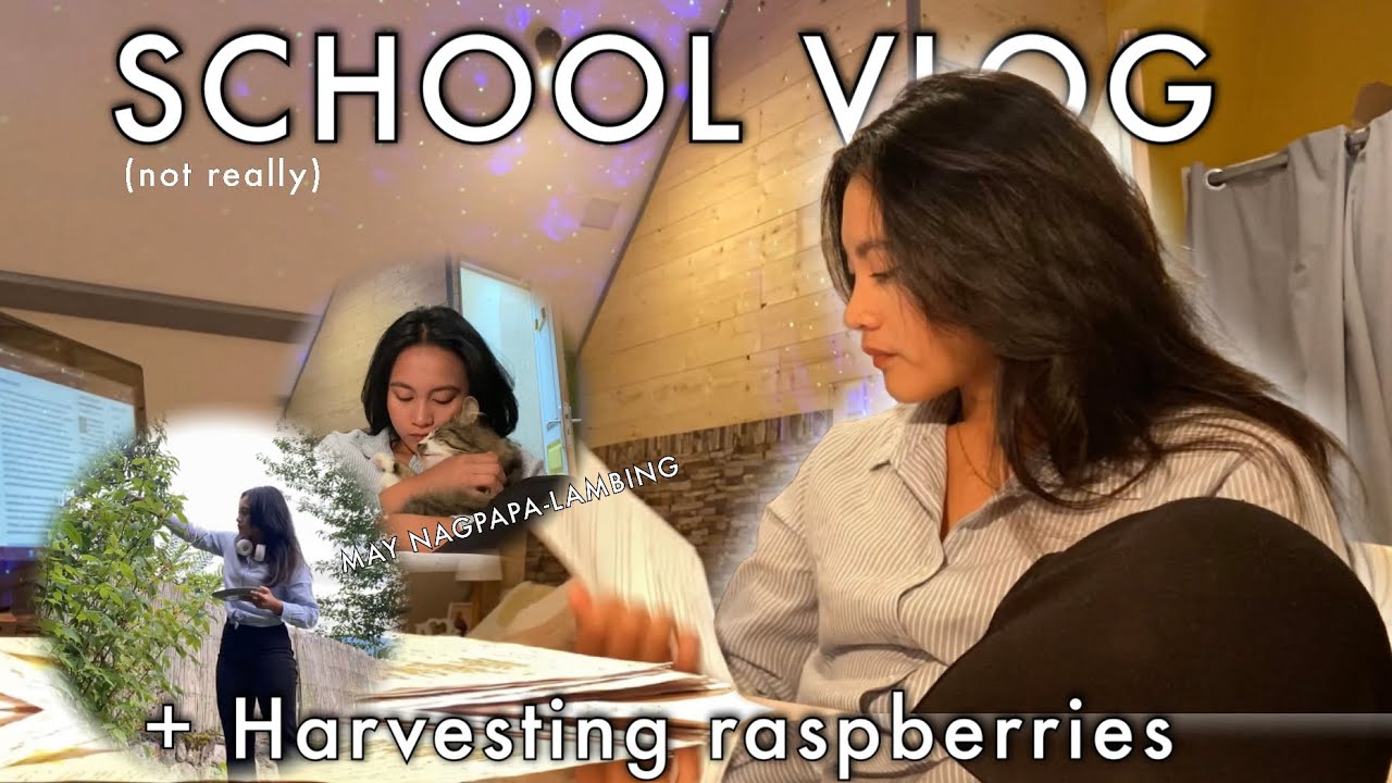 SCHOOL VLOG IN FRANCE || Nicole Beguña