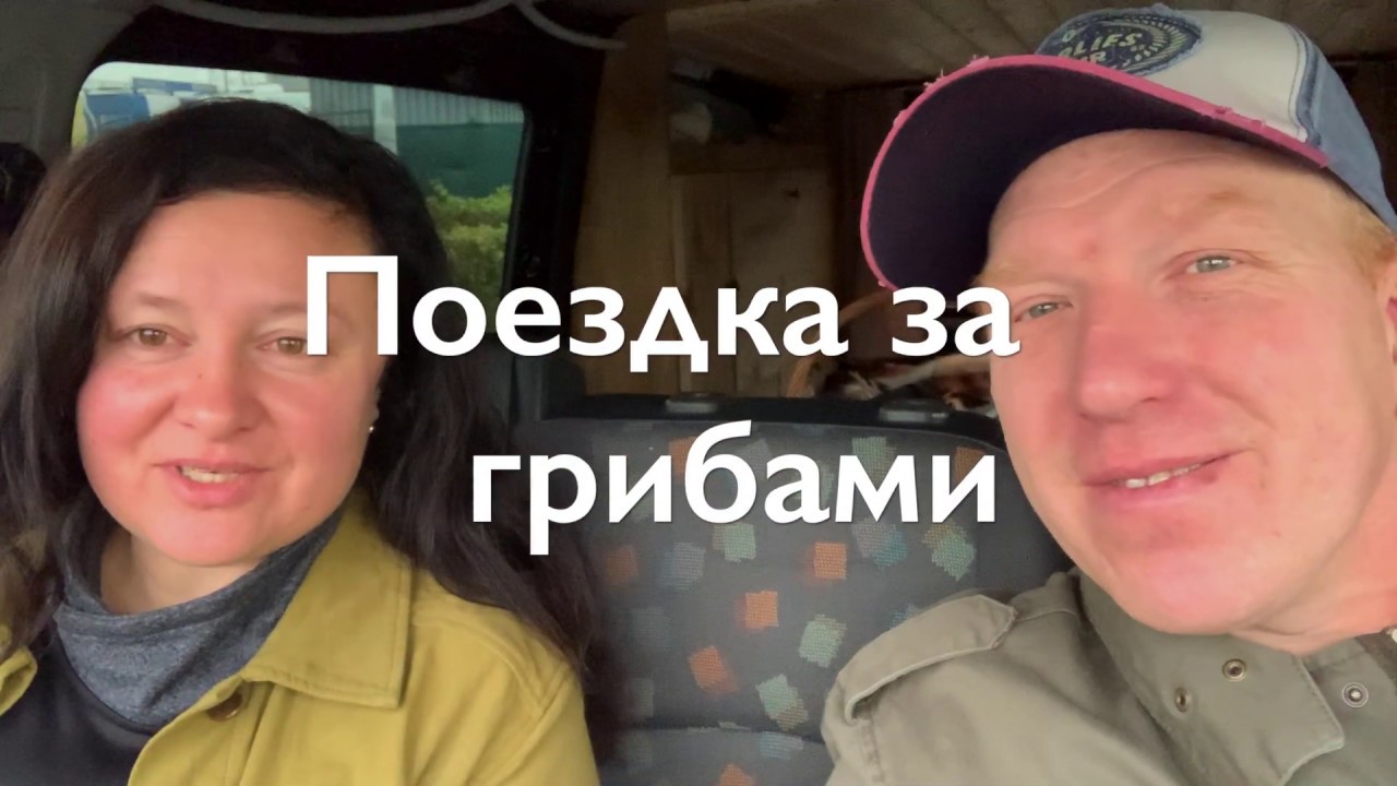 Сбор грибов в Чехии
