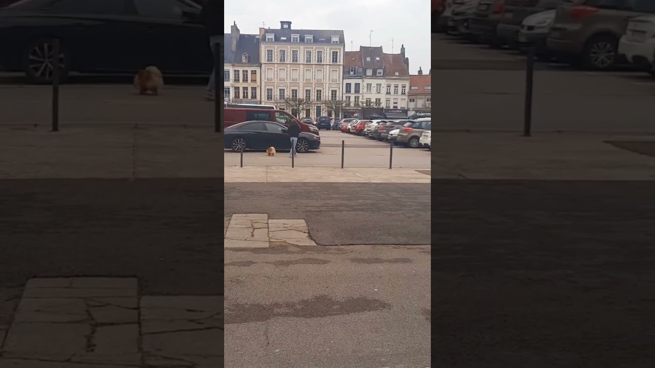 Saint-Omer