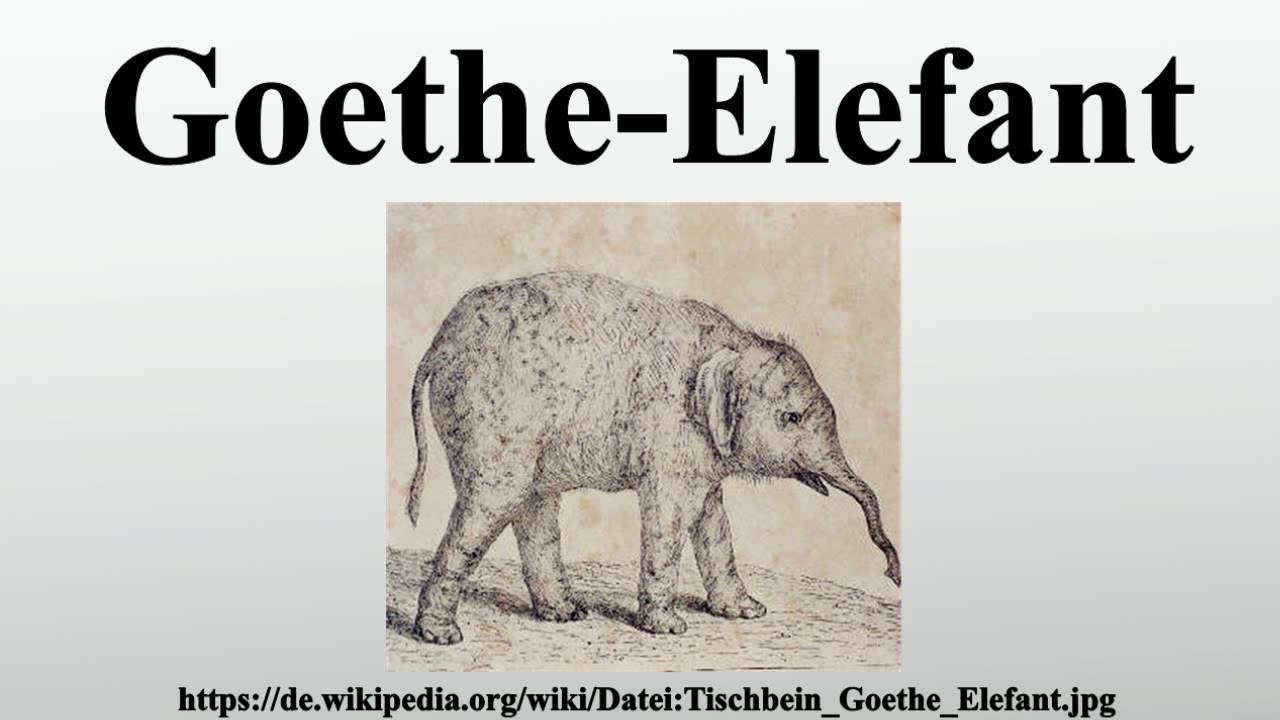 Goethe-Elefant