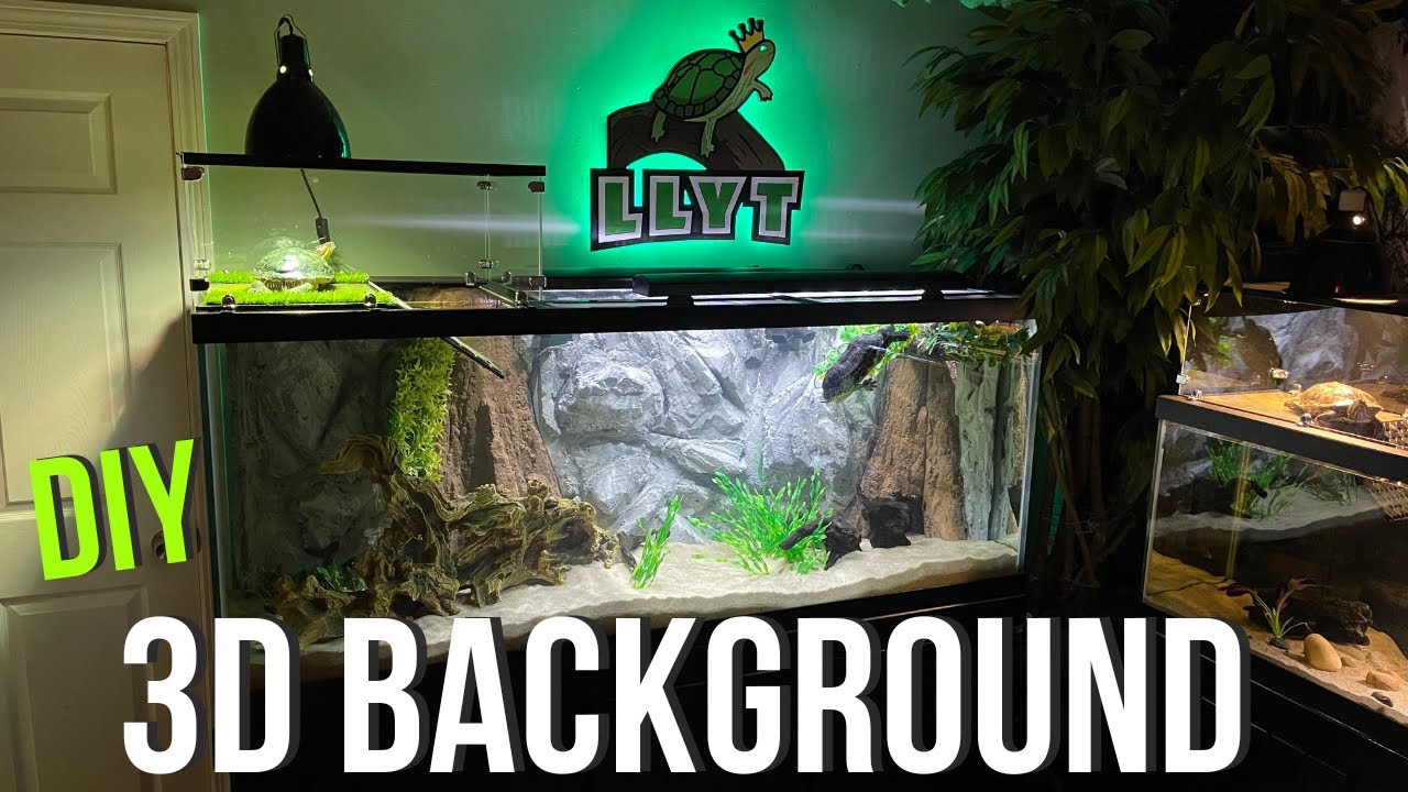 DIY 3D BACKGROUND for My Turtle Tank - Step by Step