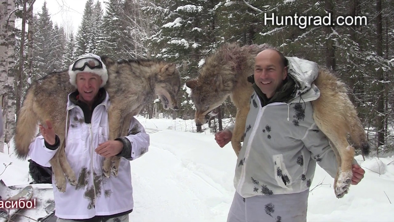 Отзыв охотников 2 (Охота на волка 2019г.) Winterjagd auf Wolf