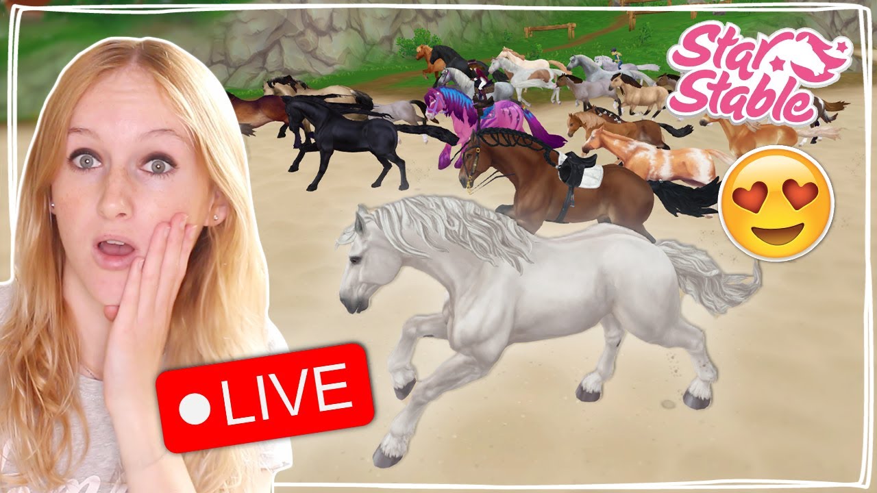 🔴 MET 1000 WILDE PAARDEN RENNEN OP STAR STABLE! 😱 - Livestream | Daphne draaft door