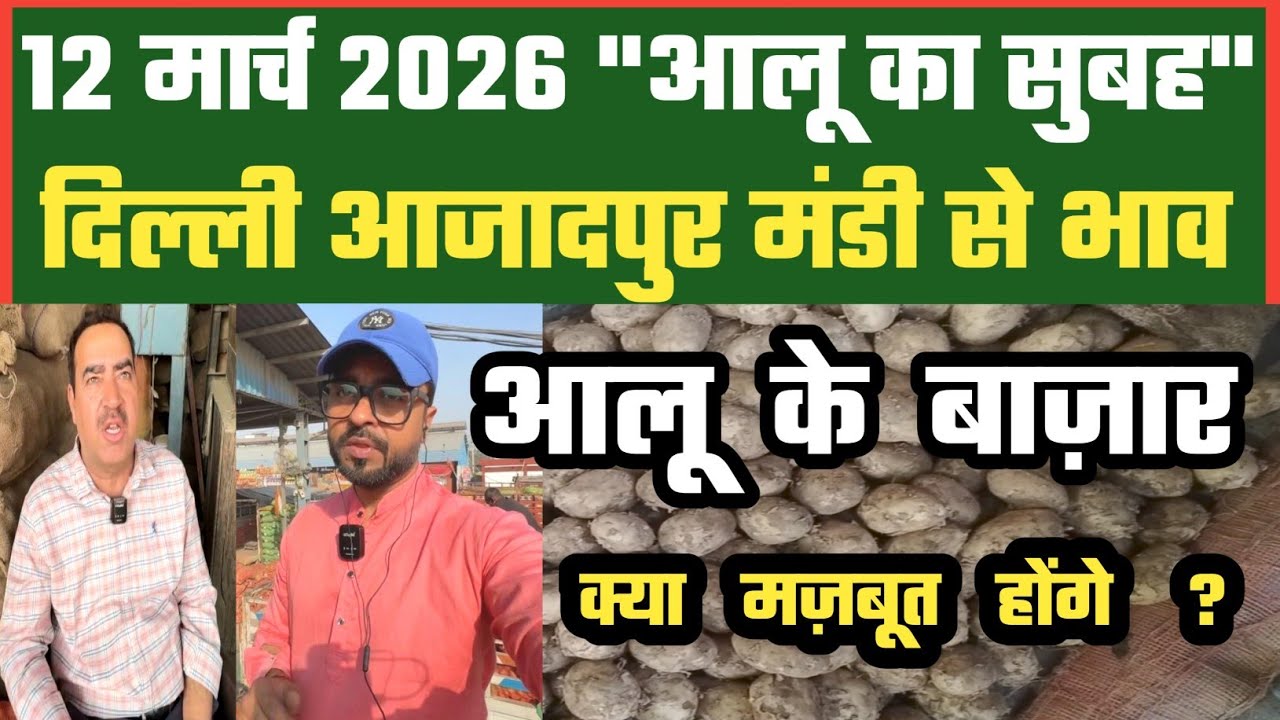 आलू में चढ़त अब कैसे बनेगी ? 🤔 Azadpur Delhi Mandi Today में 12-03-2026 के Potato Price DMT TV