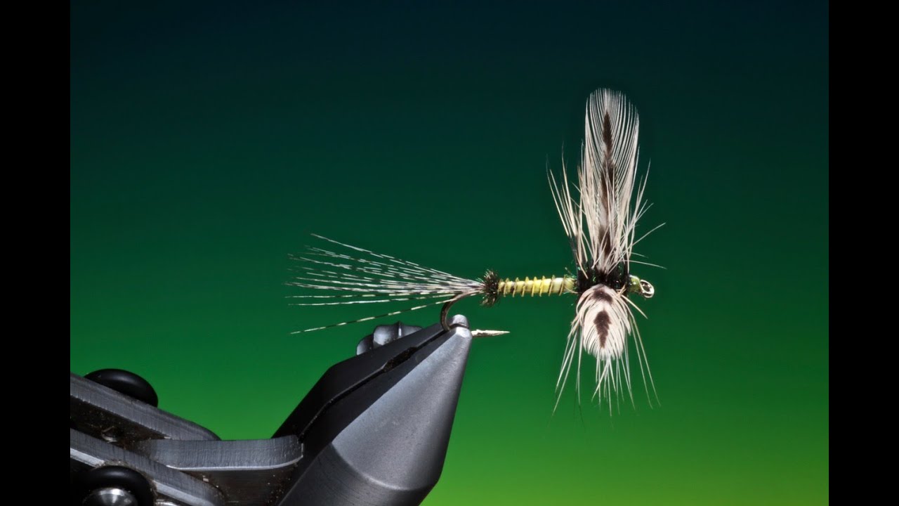 Fly Tying a spent green drake Mayfly with Barry Ord Clarke