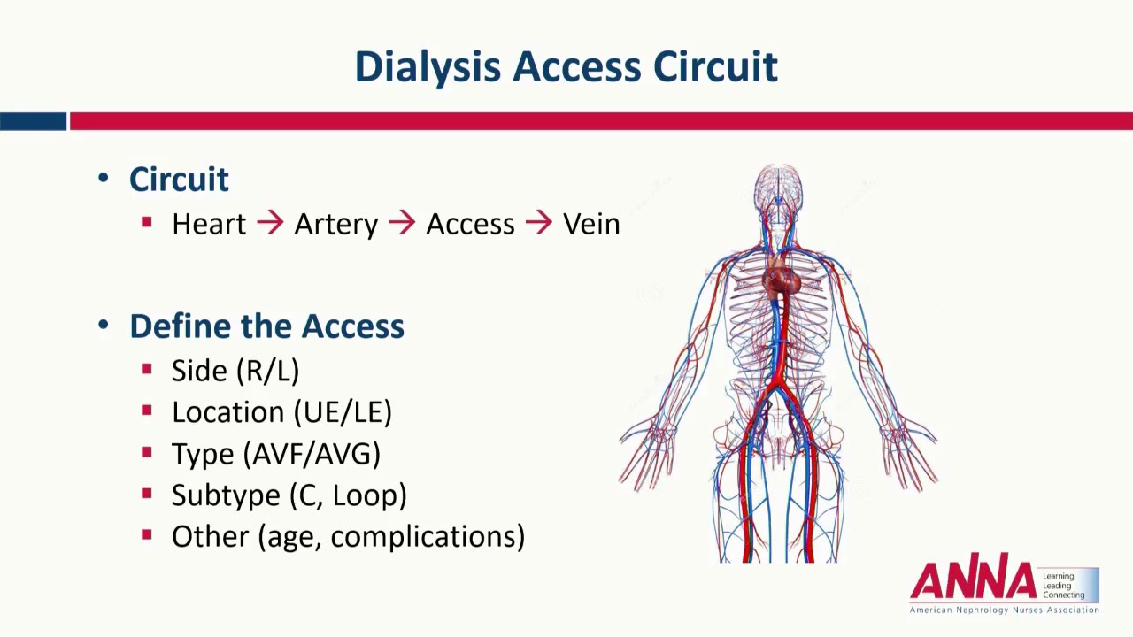 Vascular Access and Cannulation: What the Nephrology Nurse Needs to Know