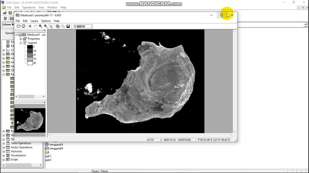 CARA MEMBUAT NDVI, RVI, MASKING LAUT DAN DARAT