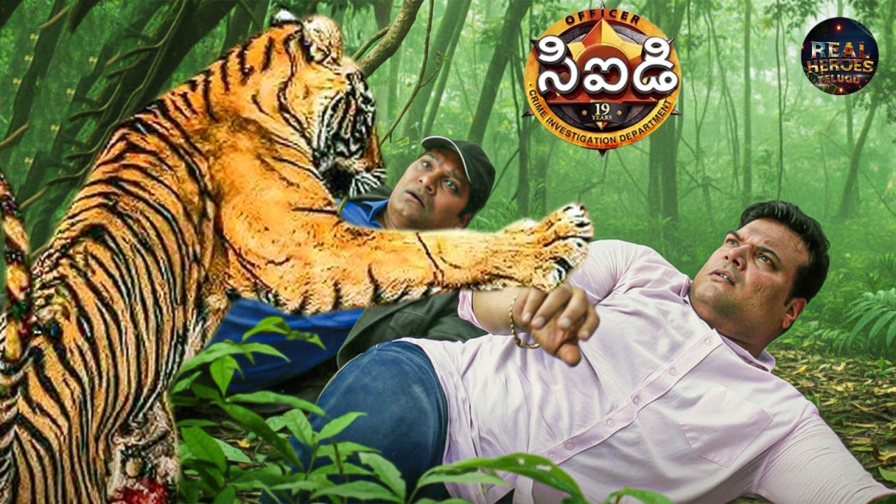 అడవిలో సీఐడీ బృందం ఒక క్రూరమైన పులితో ముఖాముఖిగా ఎదురైంది! | Best Of CID Telugu | New Episode