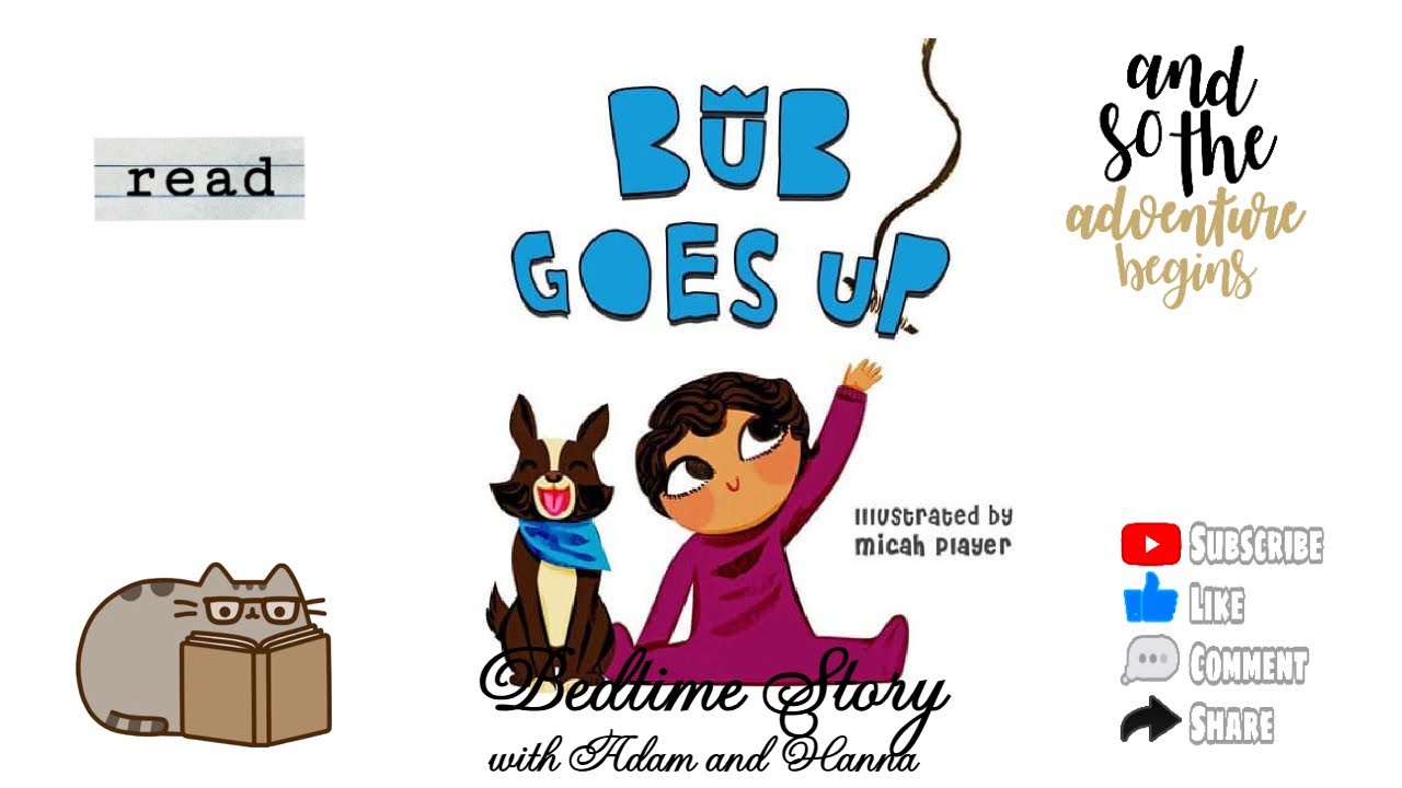 Bub Goes Up - illustrated by Micah Player