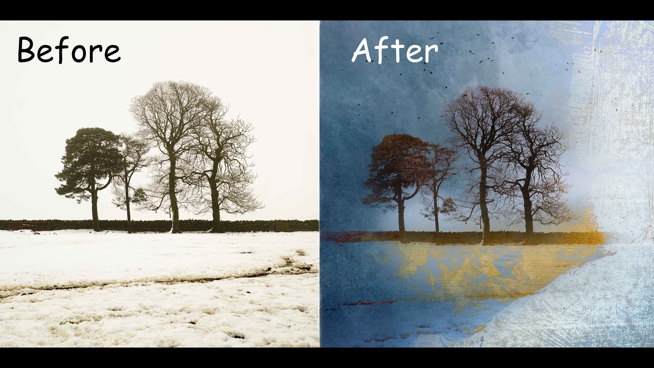 Wind Chill Trees - Photograph to Art