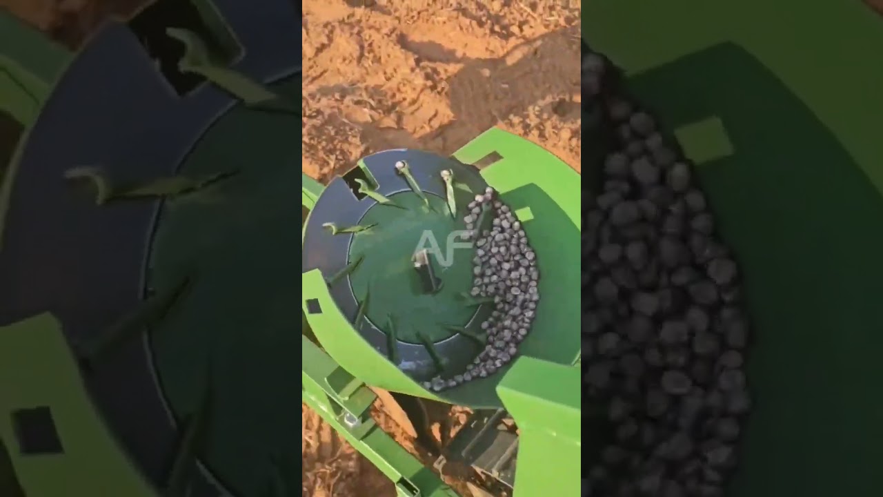 Amazing Hand Seeds Planter #shorts #seeds #planter #seedsplanter #agriculture #farming #creative