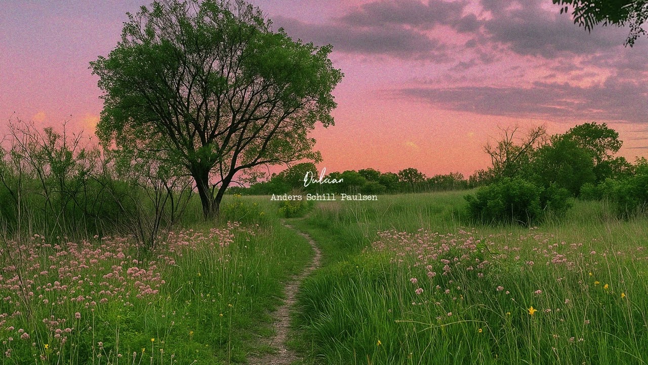 a calm playlist for a quiet summer sunset