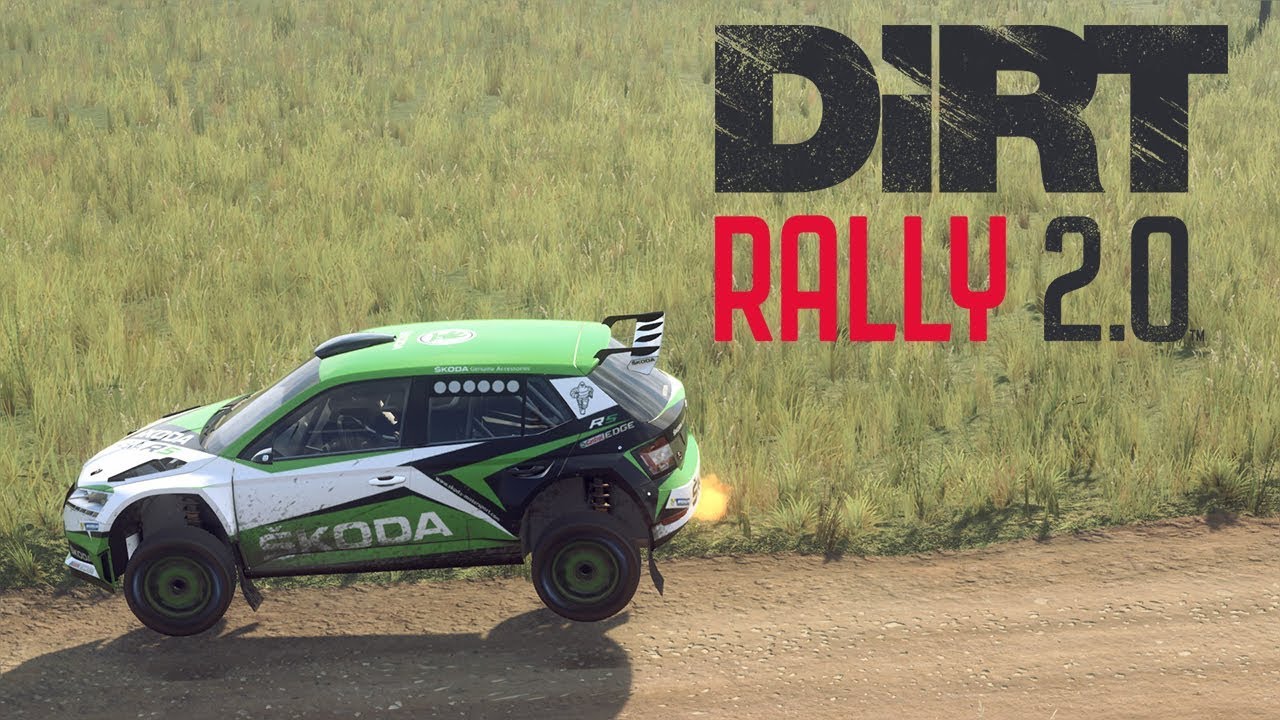 DIRT RALLY 2.0 | SKODA FABIA R5 | POLAND | COCKPIT/CHASE