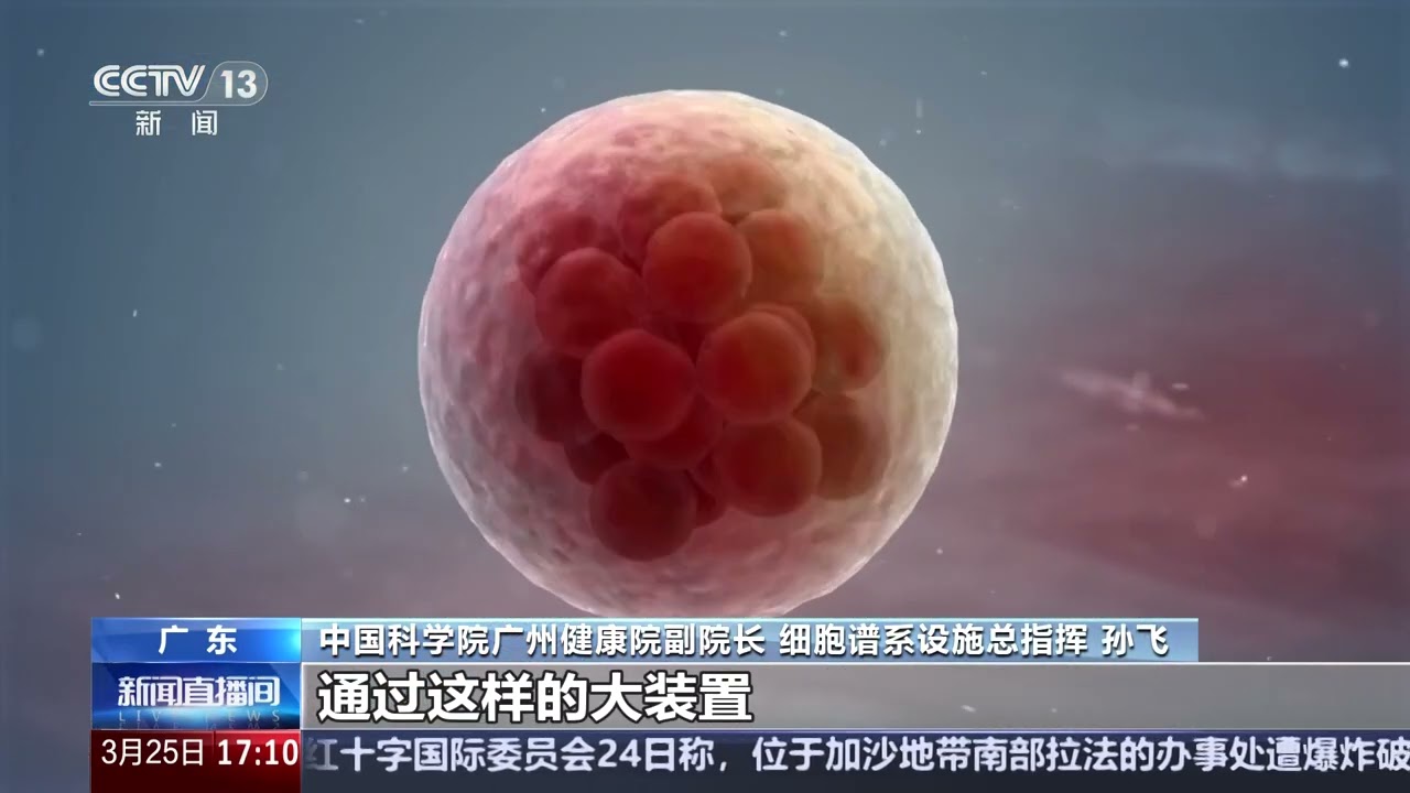 [新闻直播间]人类细胞谱系大科学研究设施启动建设 数字细胞AI大模型 追踪细胞&ldquo;前世今生&rdquo; | 新闻来了 News Daily