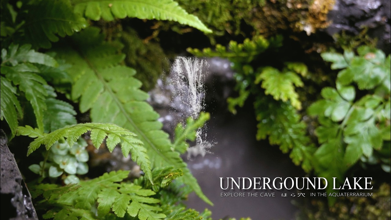 Make Underground CAVE between Land and Waterfall Aquarium l First Time to FEED the terrible food