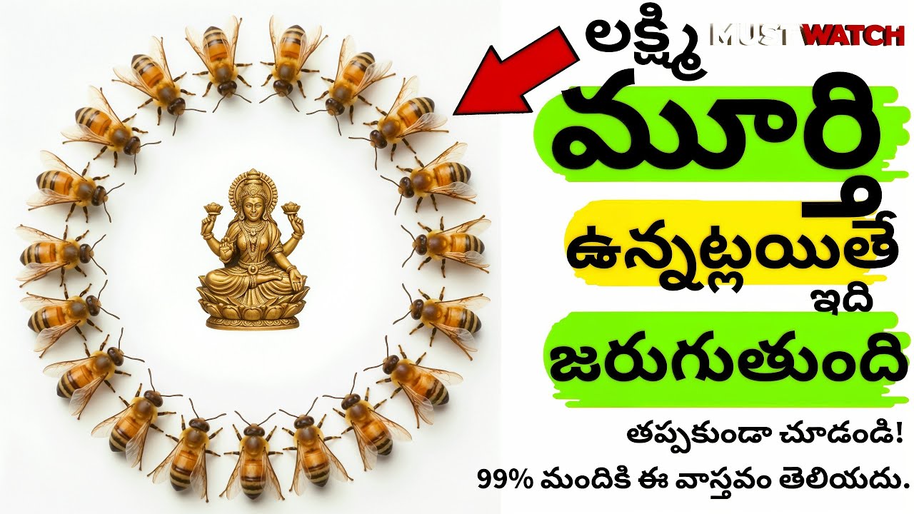 మీ ఇంట్లో లక్ష్మీ విగ్రహం ఉందా? అయితే మీ జీవితంలో ఇలాగే జరుగుతుందా?Best Lakshmi Idol #lakshmi #vastu