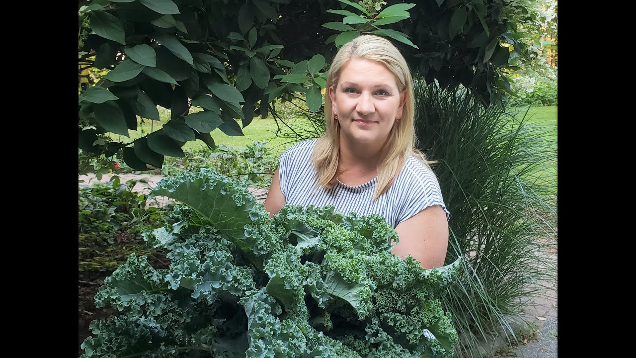 Eating Healthy ~ Canning Greens for Winter