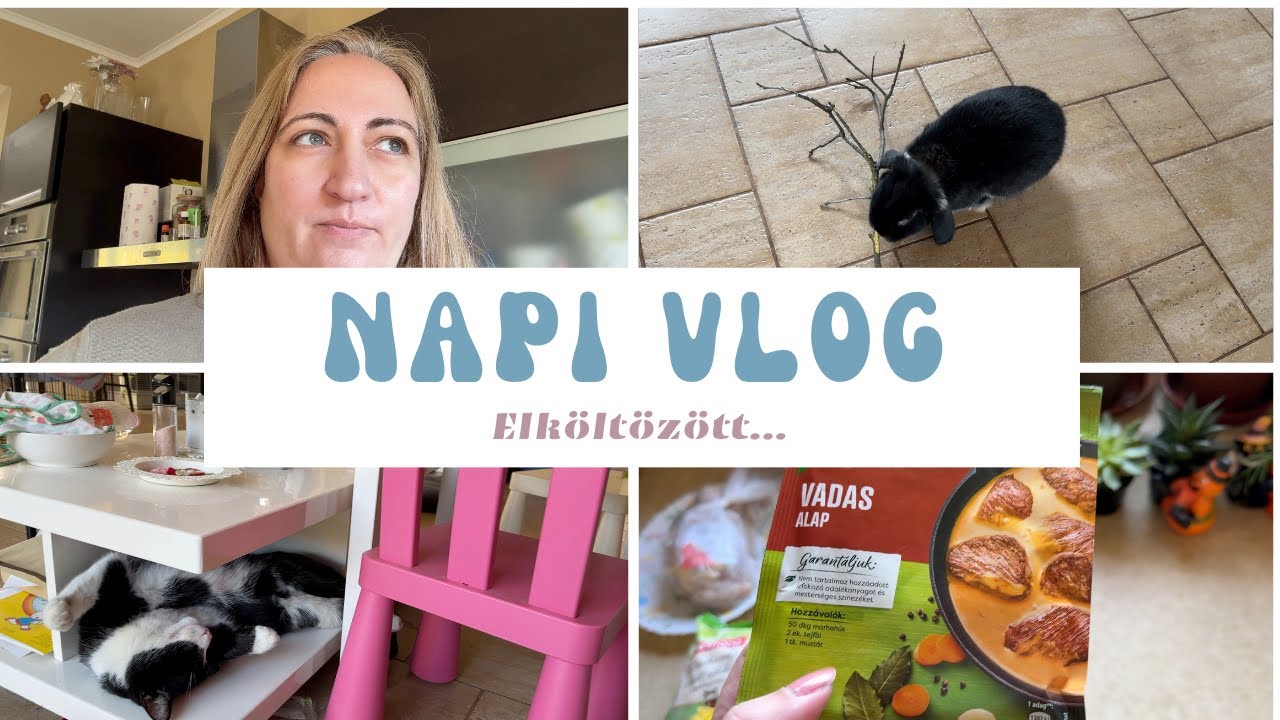 napiVlog - Elköltözött.. nem köszönt el... és kik az új lakók? 🤔