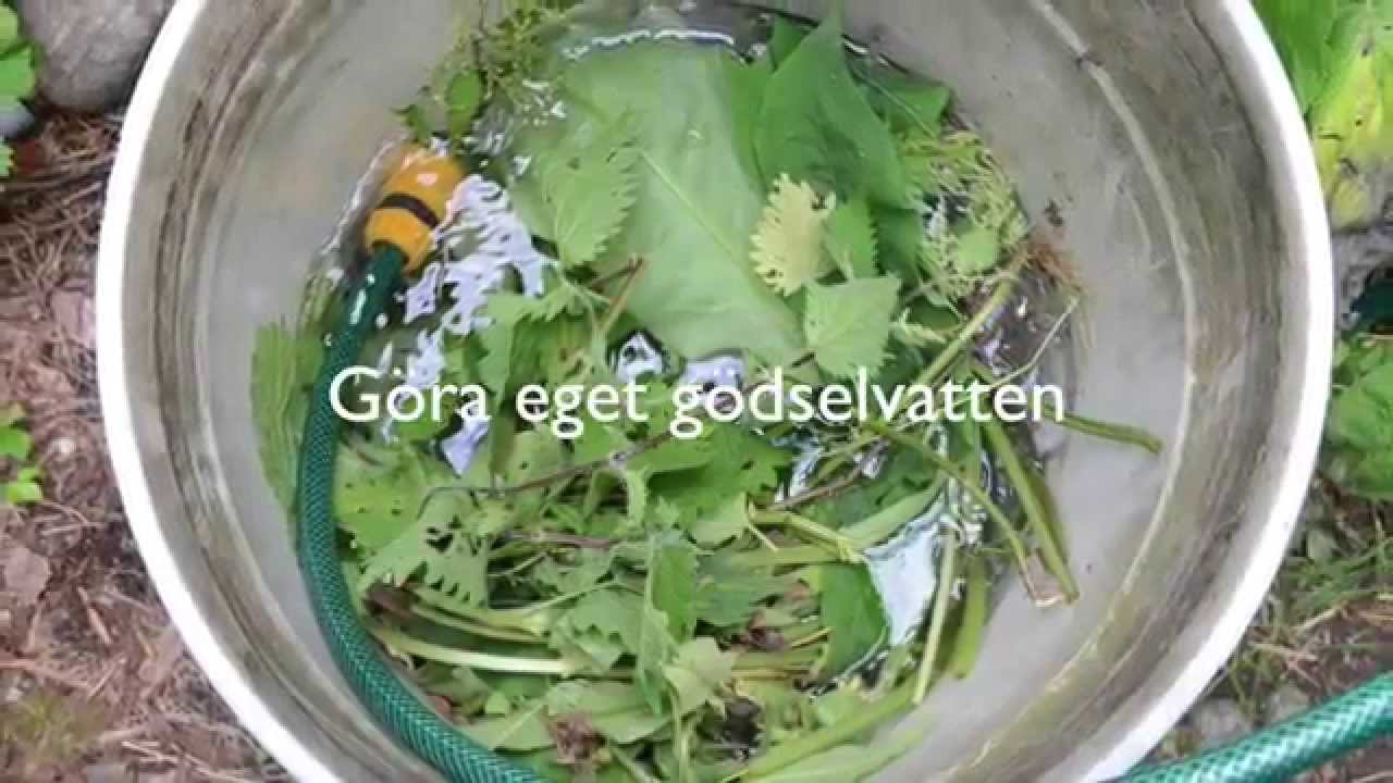 Göra eget gödselvatten