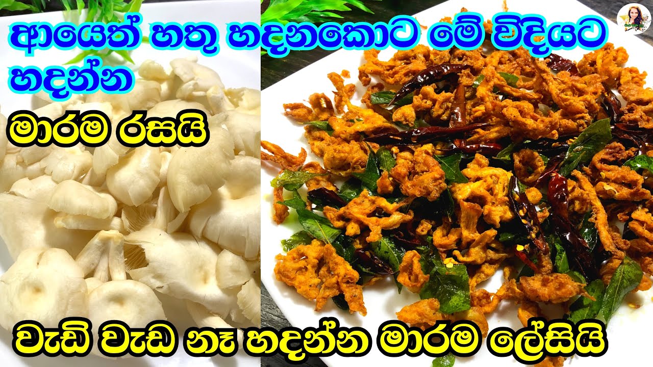 ගෙදර අය ආසම හතු රෙසිපි එක..මාරම රසයි මේ විදියට | mashroom recipe | mashroom