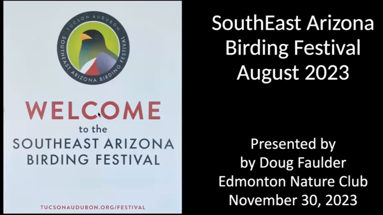 Southeast Arizona Birding Festival
