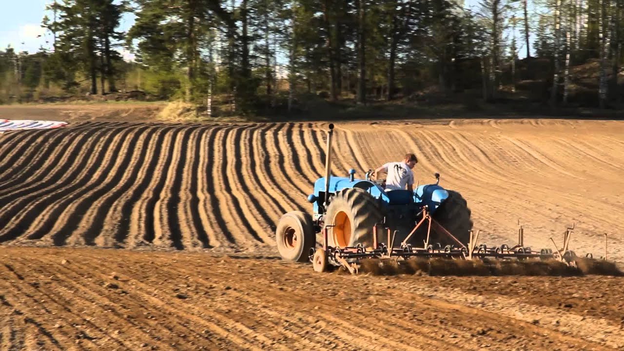 Fordson Major 6 syl &auml;est&auml;&auml; / 6 cyl Major harrowing 2 1080P HD