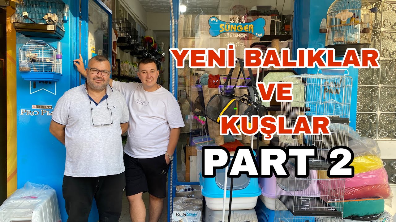 Sünger Petshop/Muhabbet kuşu fiyatları/Kanarya fiyatları/Akvaryum balık fiyatları/Petshop fiyatları