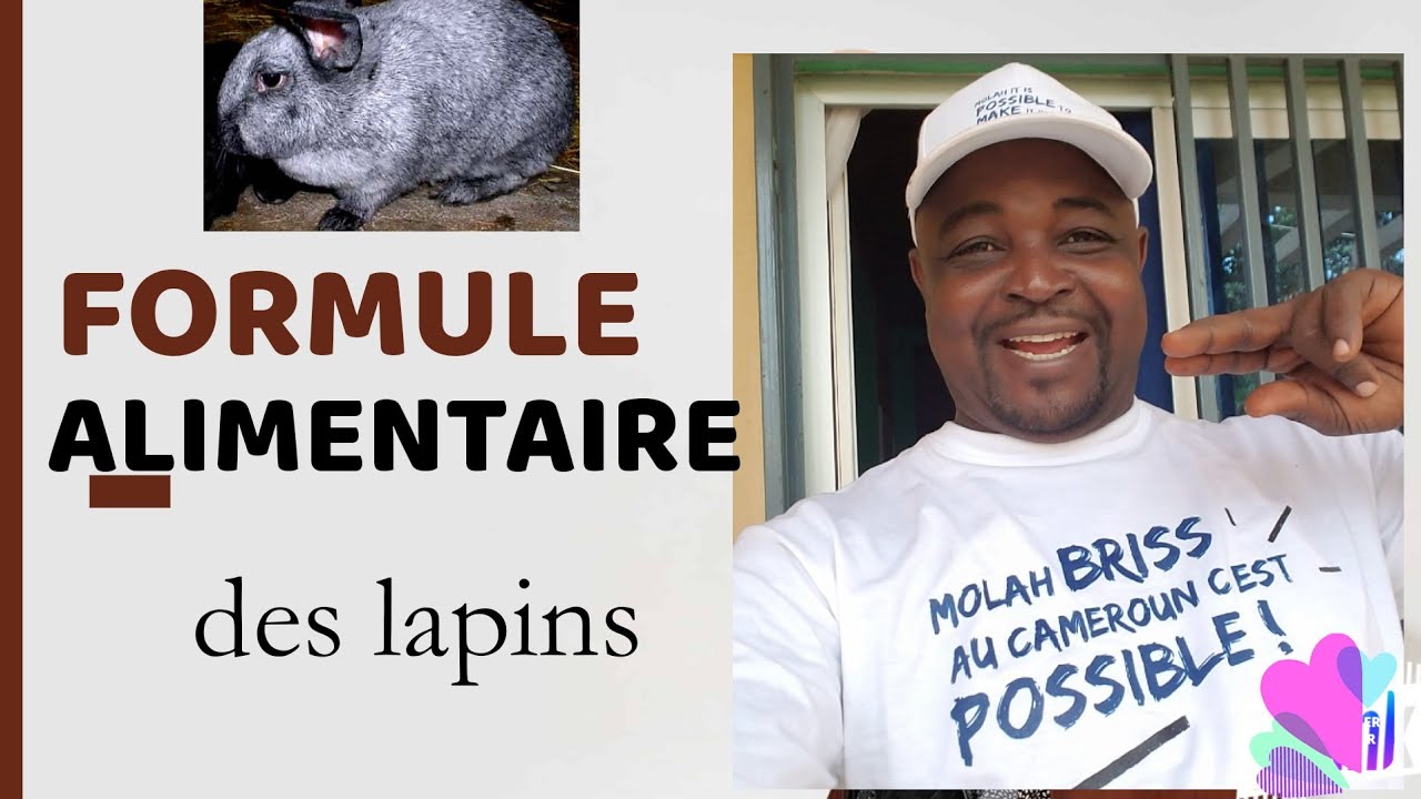 Voici ma formule d'aliment- lapins que je recommande en allaitement et engraissement