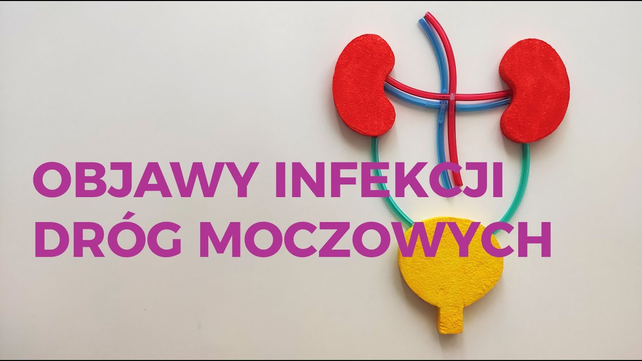 Objawy infekcji dr&oacute;g moczowych, o kt&oacute;rych należy wiedzieć