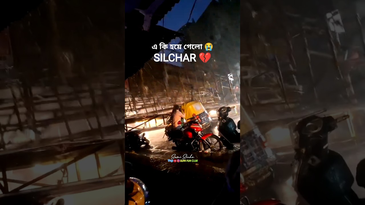 এ কি হয়ে গেলো 😭 SILCHAR Durga Puja #sumitilak #sumisinha #durgapuja #durgamaa #silchar #viral