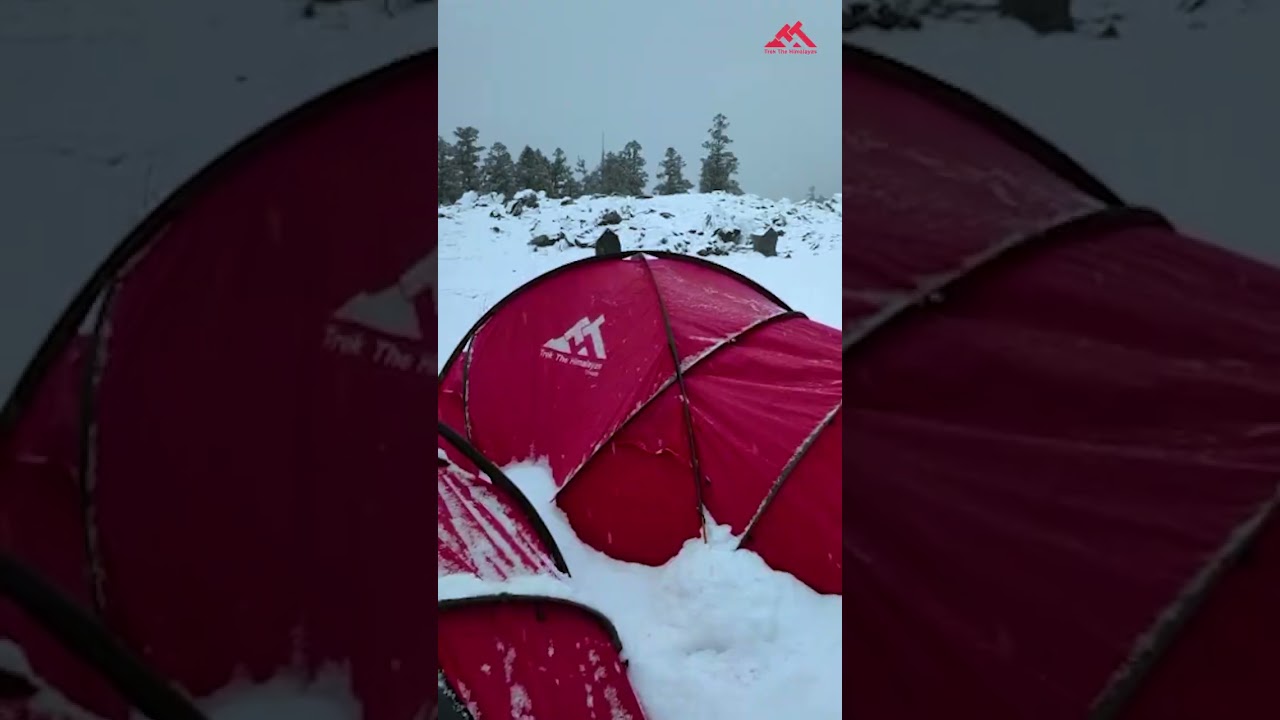 Kuari Pass Trek &ndash; Most Beautiful Winter Trek #shorts