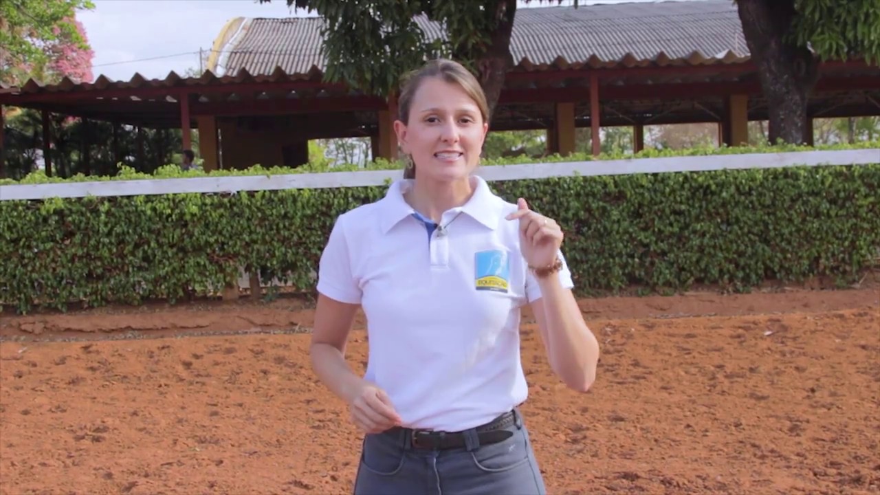 QUAIS SÃO AS ANDADURAS DOS CAVALOS ?