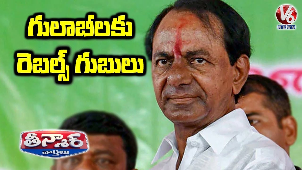 గులాబీ నేతలకు గుబులు పుట్టిస్తున్న రెబెల్స్ | Teenmaar News | V6 Telugu News