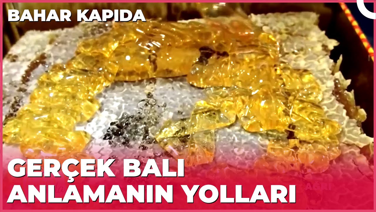 Ağrı Balının Özelliği Nedir? Bahar Kapıda 13 Şubat
