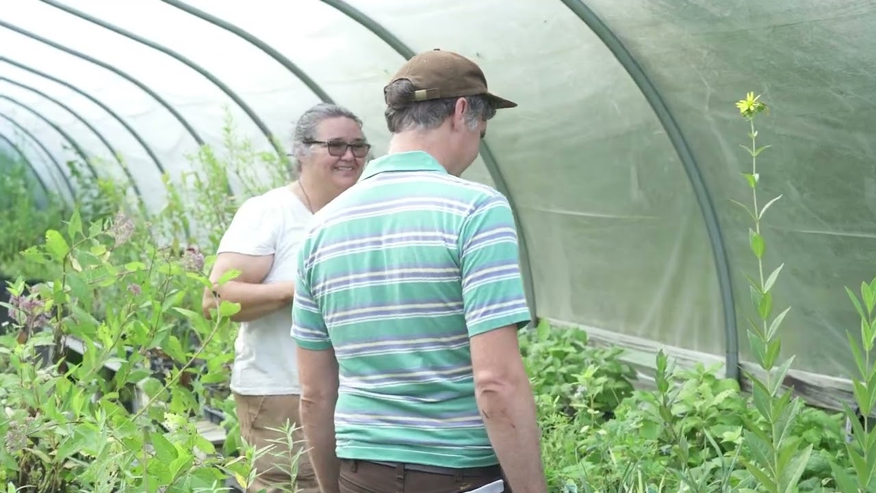 Ферма Шай-Вэлли — репортаж о ферме на радио Bristol