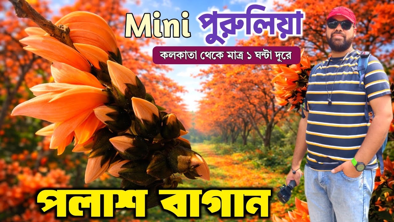 Belur Palash Bagan | কলকাতার কাছেই পলাশ ফুল | Palash Garden Belur | One Day Tour Near Kolkata 