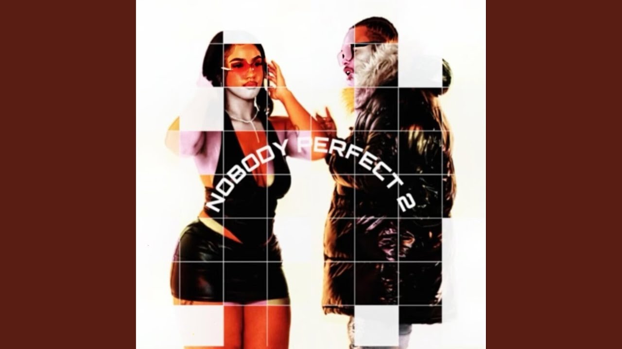 Nobody Perfect 2
