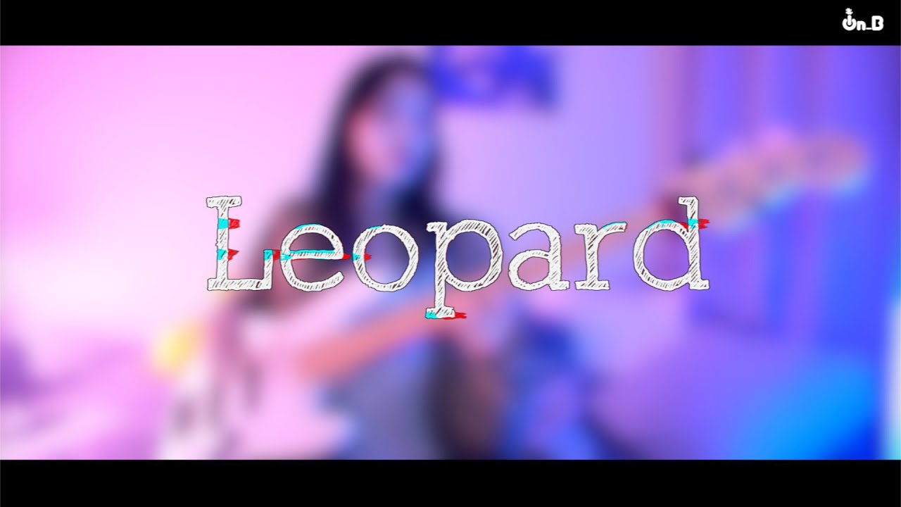 [On_B 온비] Jack Stauber - Leopard Bass Cover