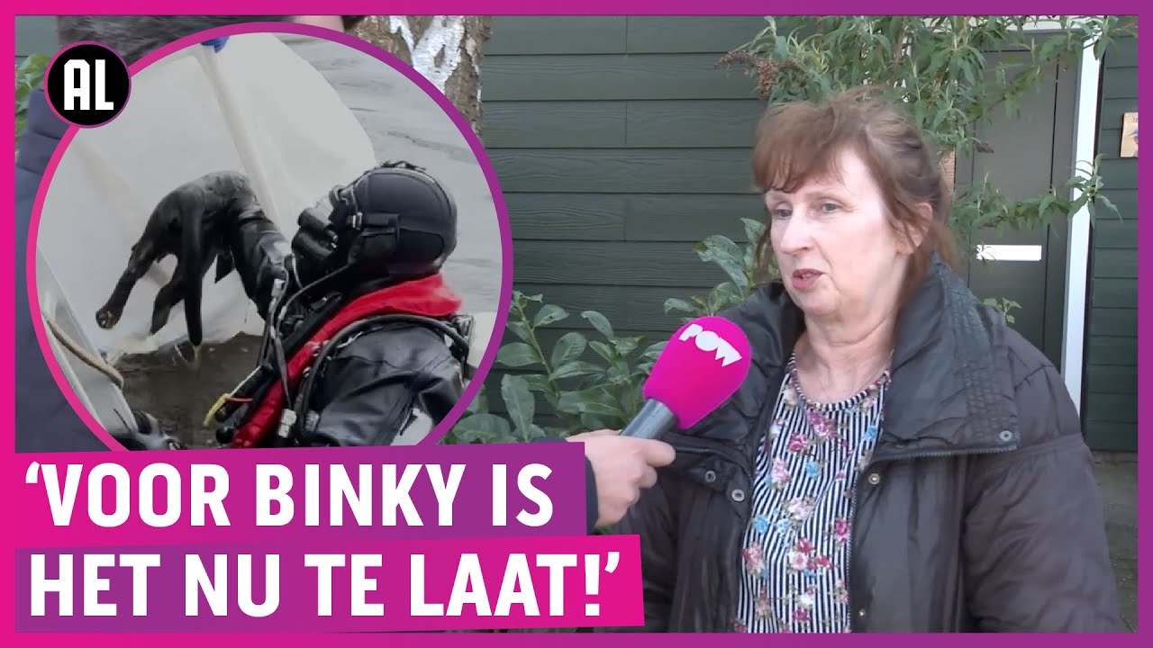 Slijptol opent jacht op lugubere kattenmoordenaar!