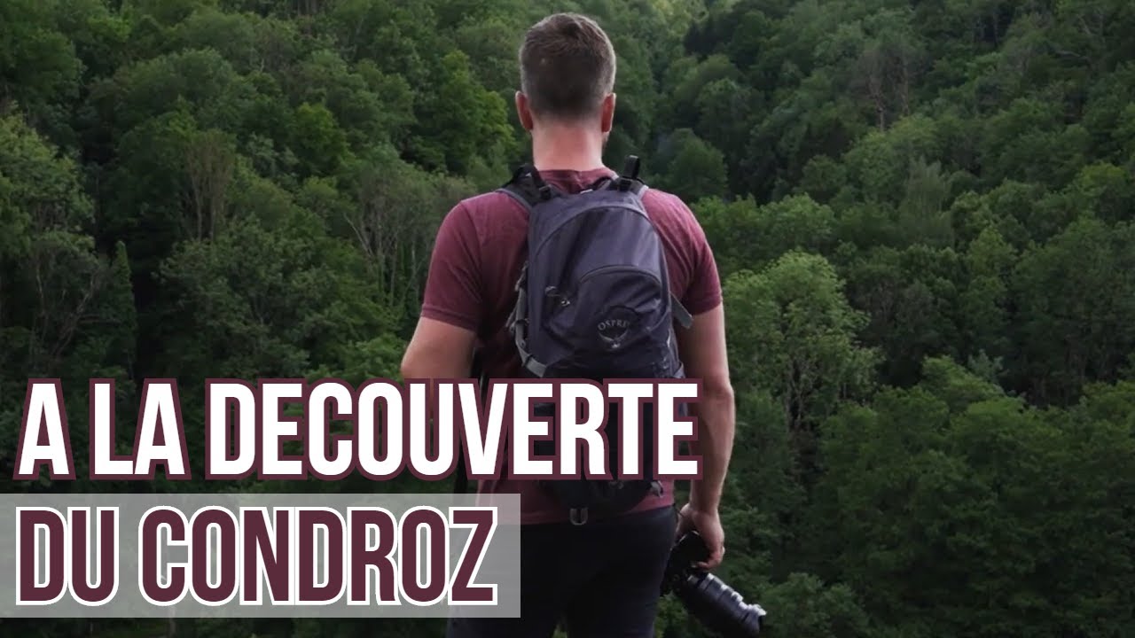 TERRES DE MEUSE : A LA D&Eacute;COUVERTE DU CONDROZ